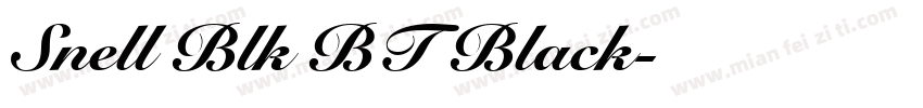 Snell Blk BT Black字体转换